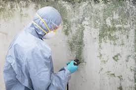 Mold Remediation for Rental Properties in Covelo, CA